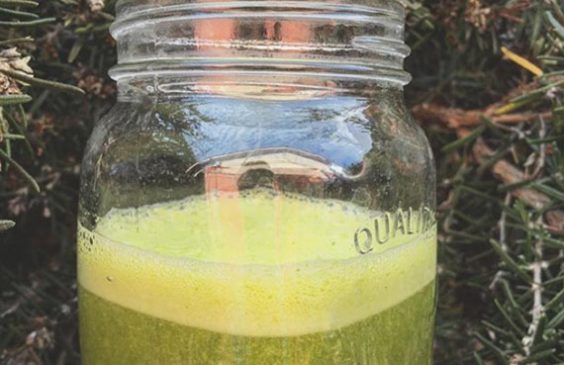 Jugo de palta y acelga