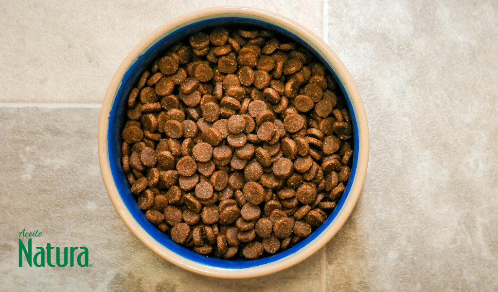 Croquetas para mascota
