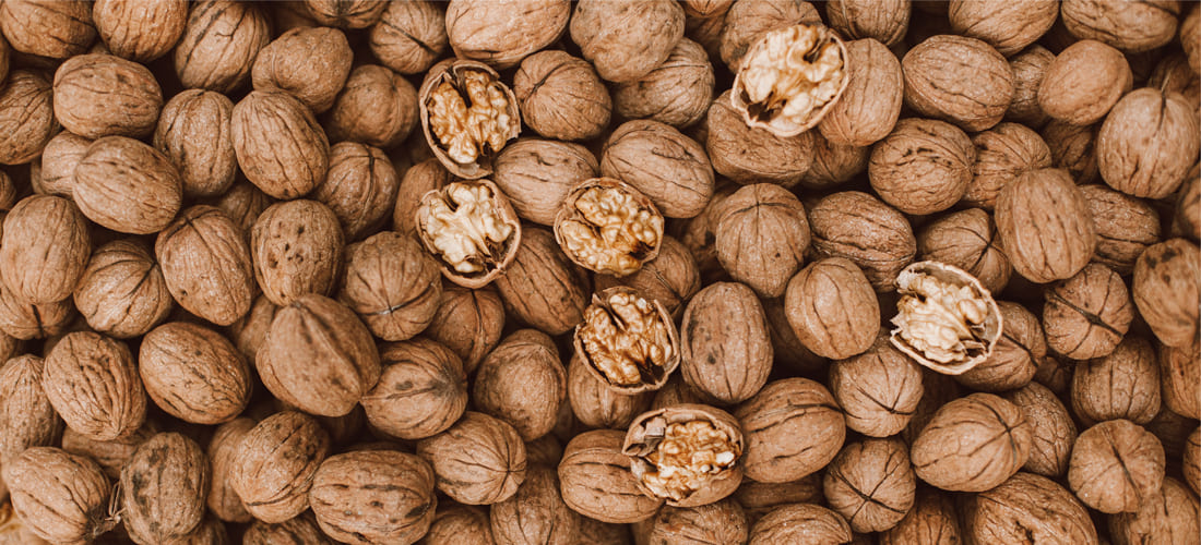 Beneficios de la nuez en la dieta diaria