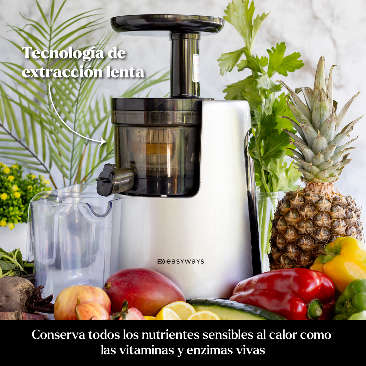Prensadora de Jugo en Frío Slow Juicer Pro | EasyWays